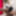FRANKS-TGIRLWORLD:ワイルドな初心者ナッティ!