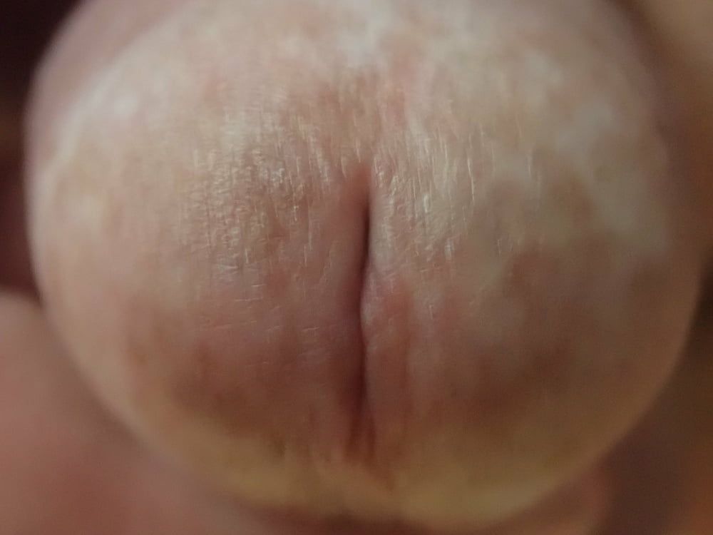 close up penis #11