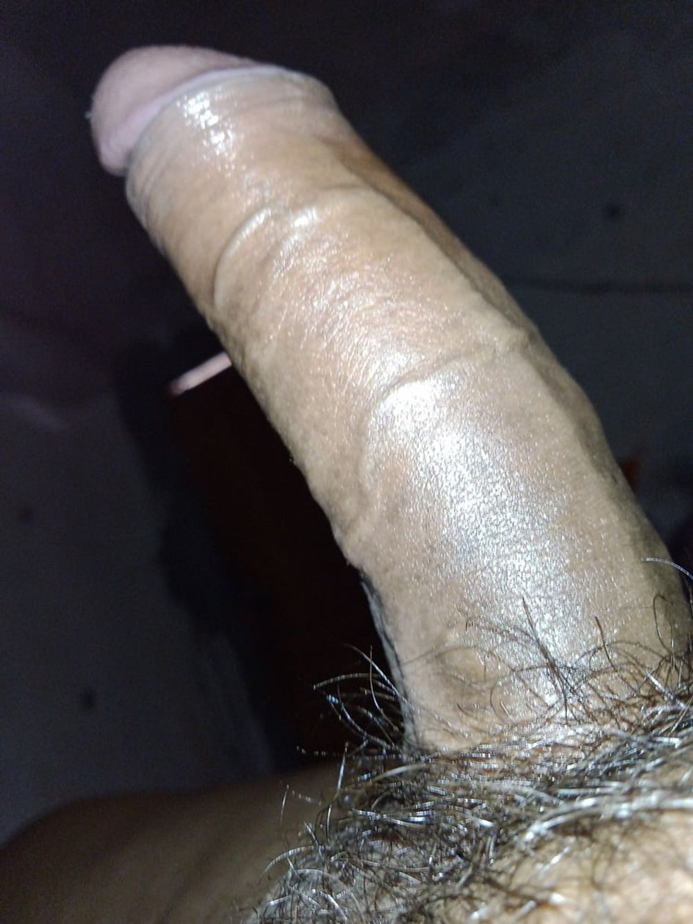 Lingraaj&#039;s penis  #2