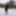 Pregnant flashing naked in the cold snow #48