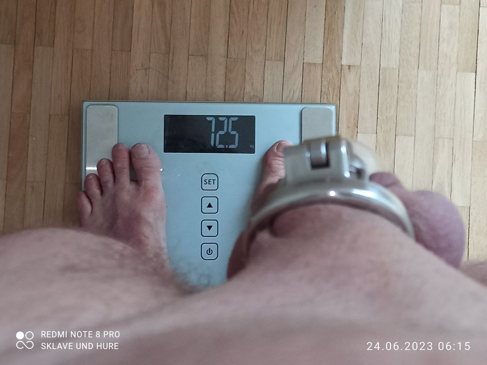 weighing, cagecheck and plugcheck 24.06.2023 #17