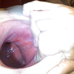 My FAKE GAPE 24
