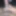MY BEAUTIFUL DICK COVERED WITH CUM