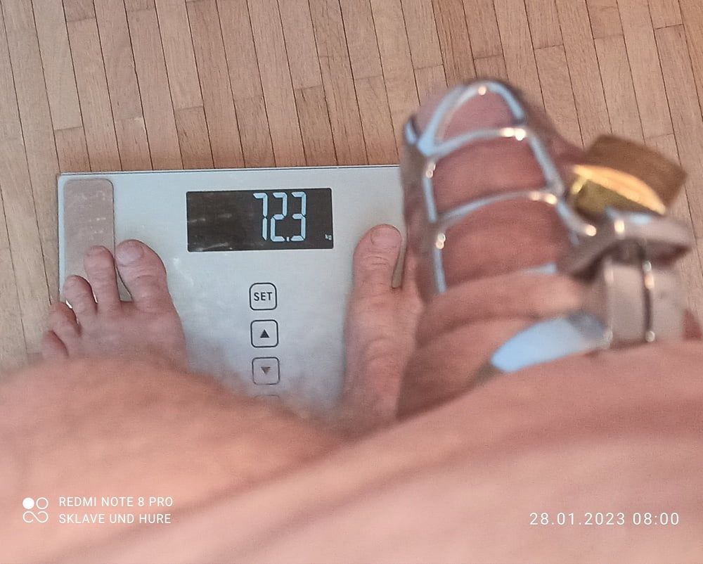 weighing, cagecheck nippleclamp  of 28.01.2023 #7