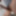 ディック写真