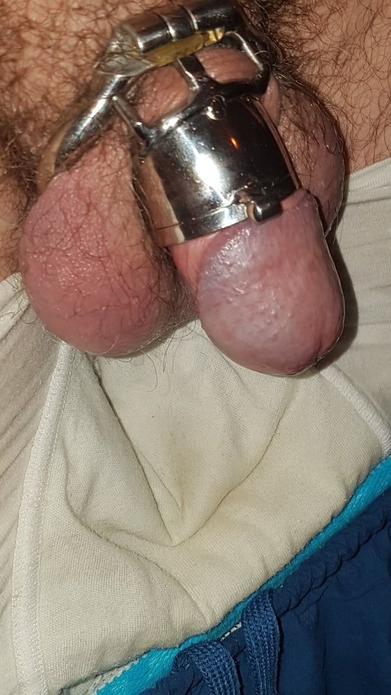 Chastity cage #51