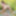  Arete paints on an open field and decides to undress
