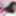 Alesia Pleasure blows a lucky geek