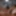 Tygra good dildo session #6