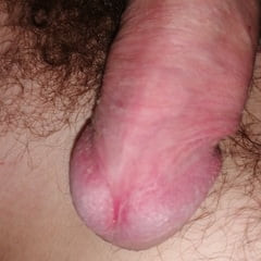 May dick
