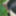 Man wanking in panties and stockings in woods