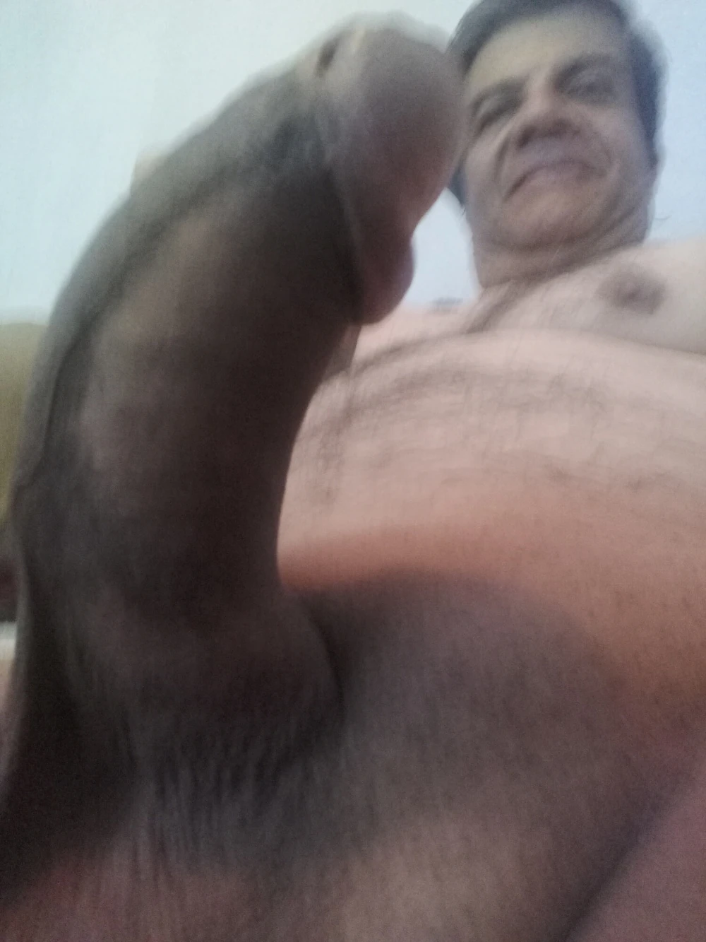 Stallion xxx 2 #4