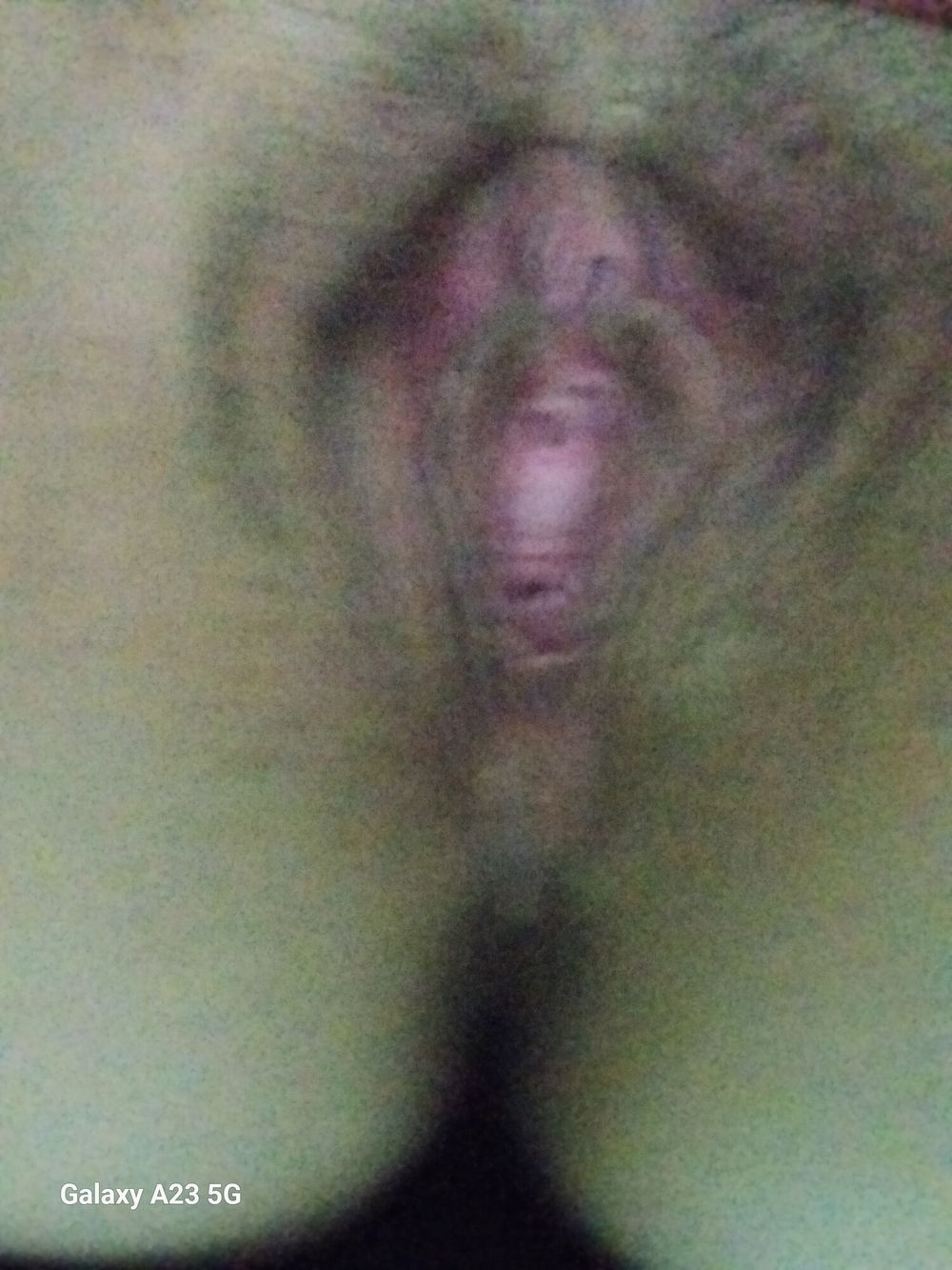 Pussy #3