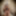 Linda asian ts champagne and big black pearl dildo 2 #37