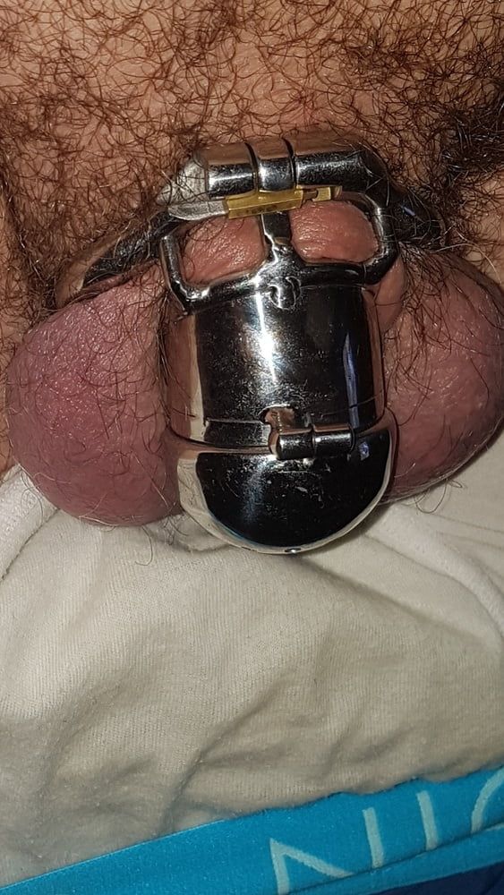 Chastity cage #31