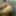 Lara White Sissy Thick Shemale Anal Masturbation Dildo  11