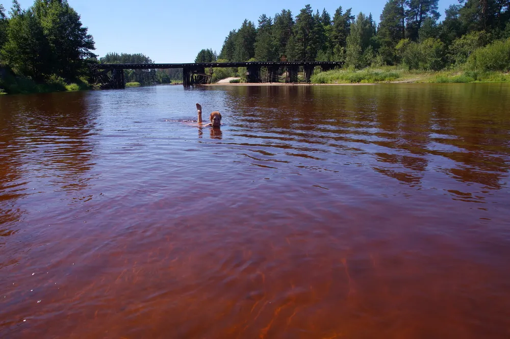 In water of Loch-river #7