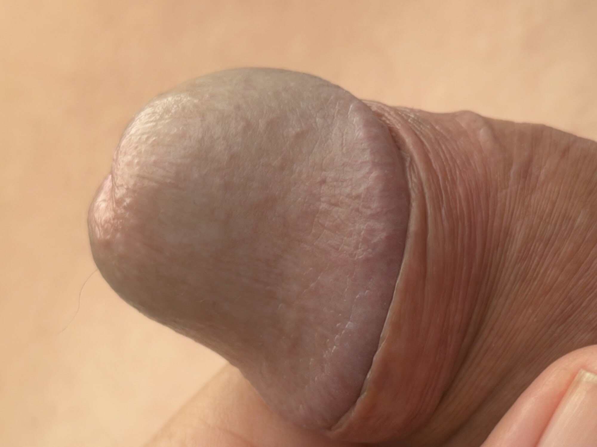 More Pics of my cock