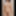 sucklover247 BESR PHOTO NUDDY #6