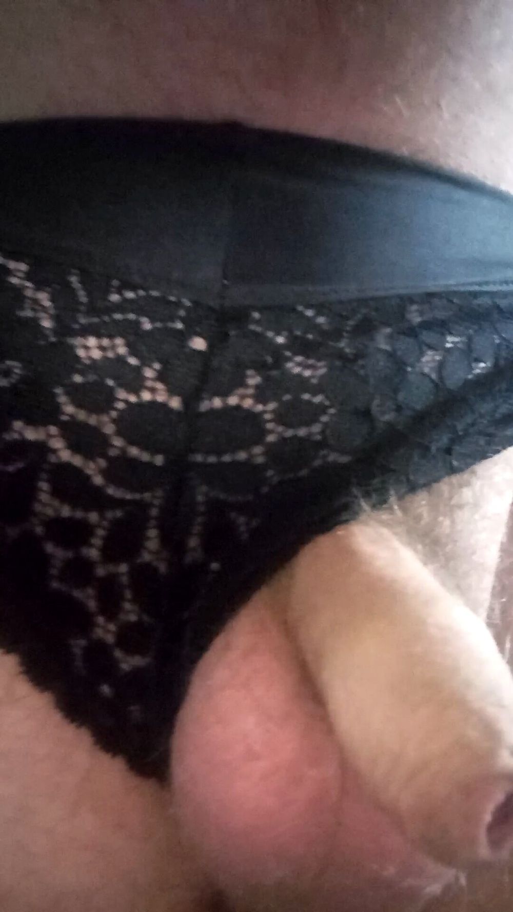 Cock in lace #6