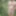 Nettles of disappointment #4