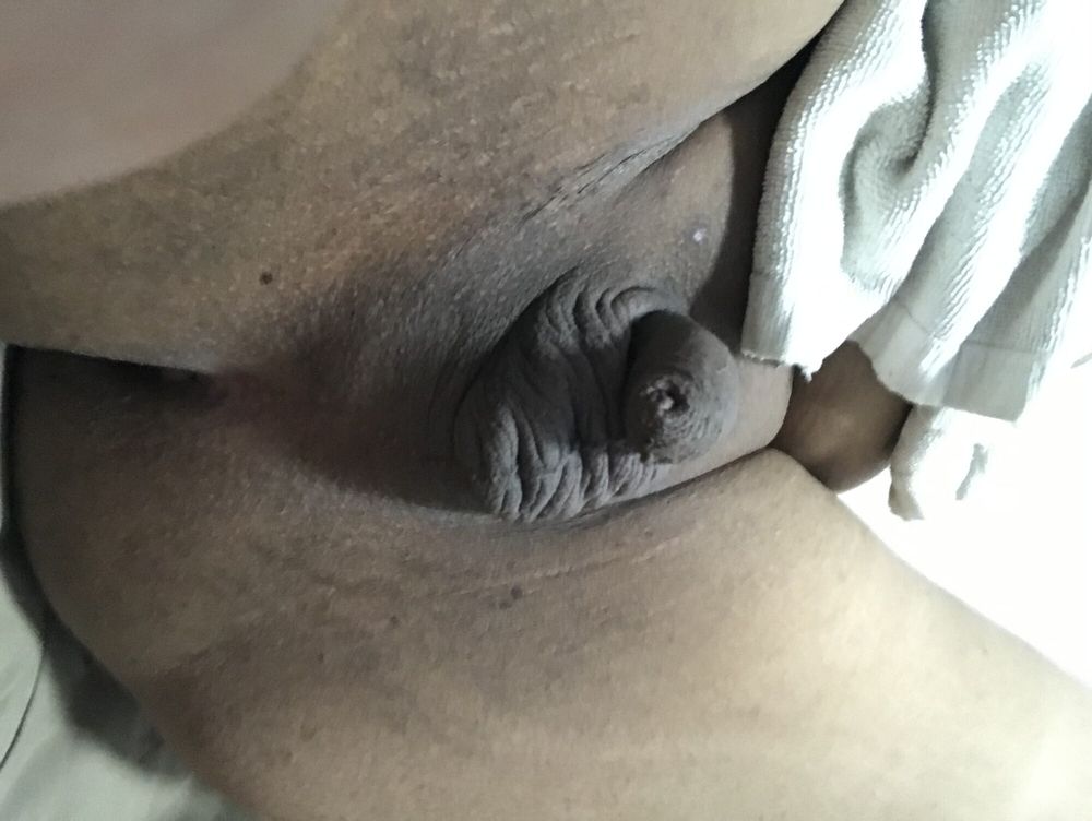 Amateur chubby small dick dildo anal  #22