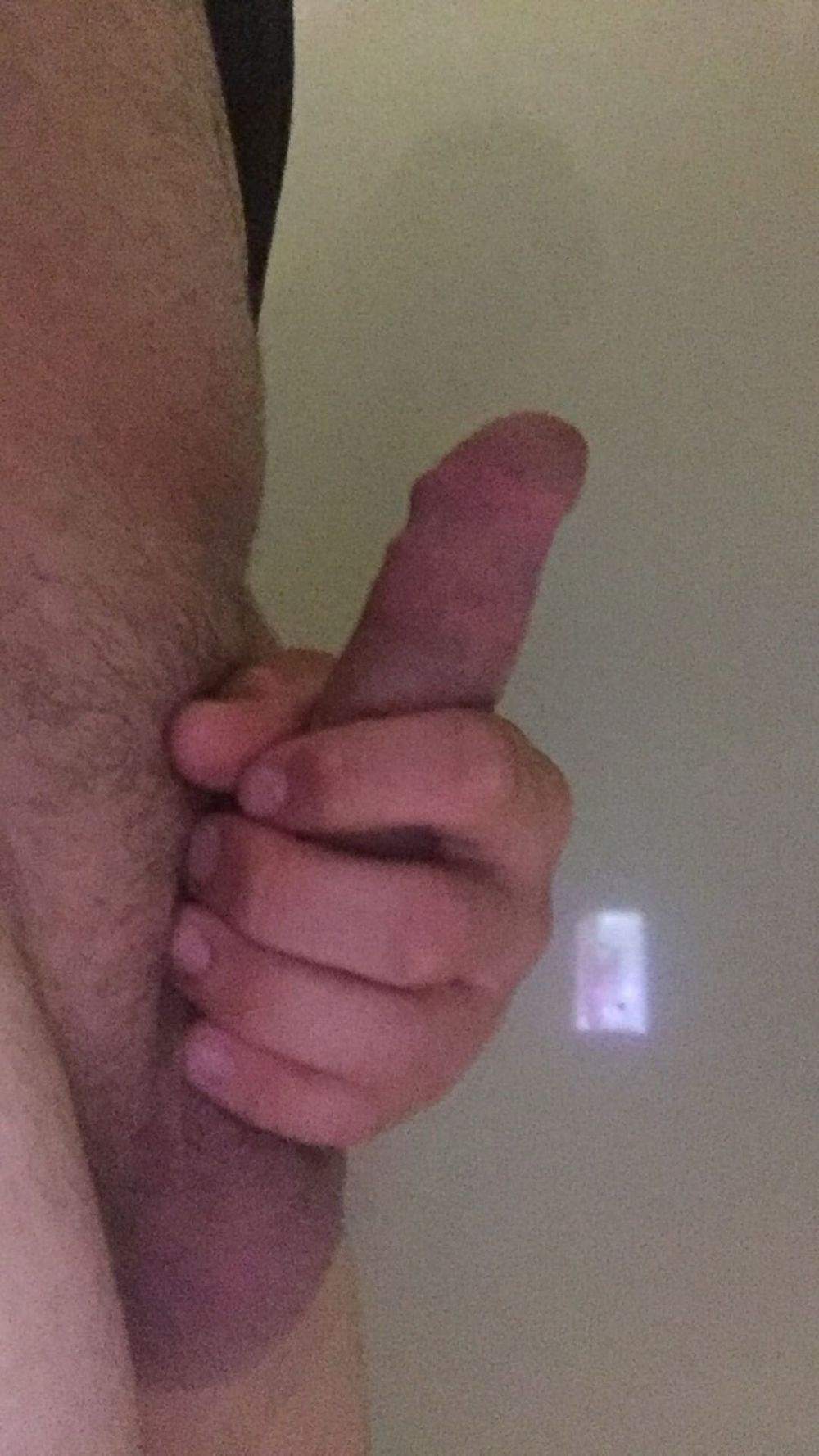 Young cock