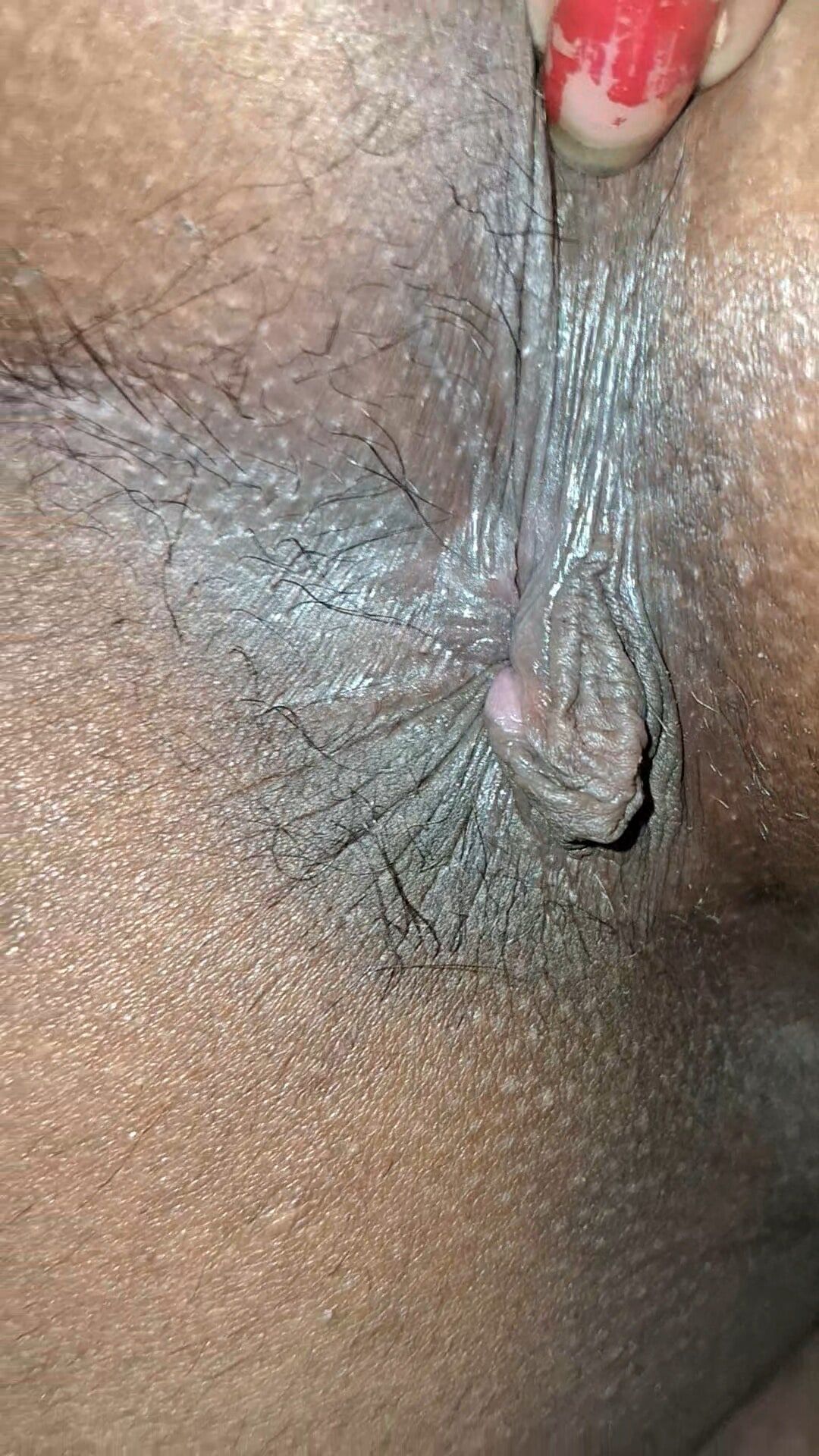 Pussy & Ass Hole #10