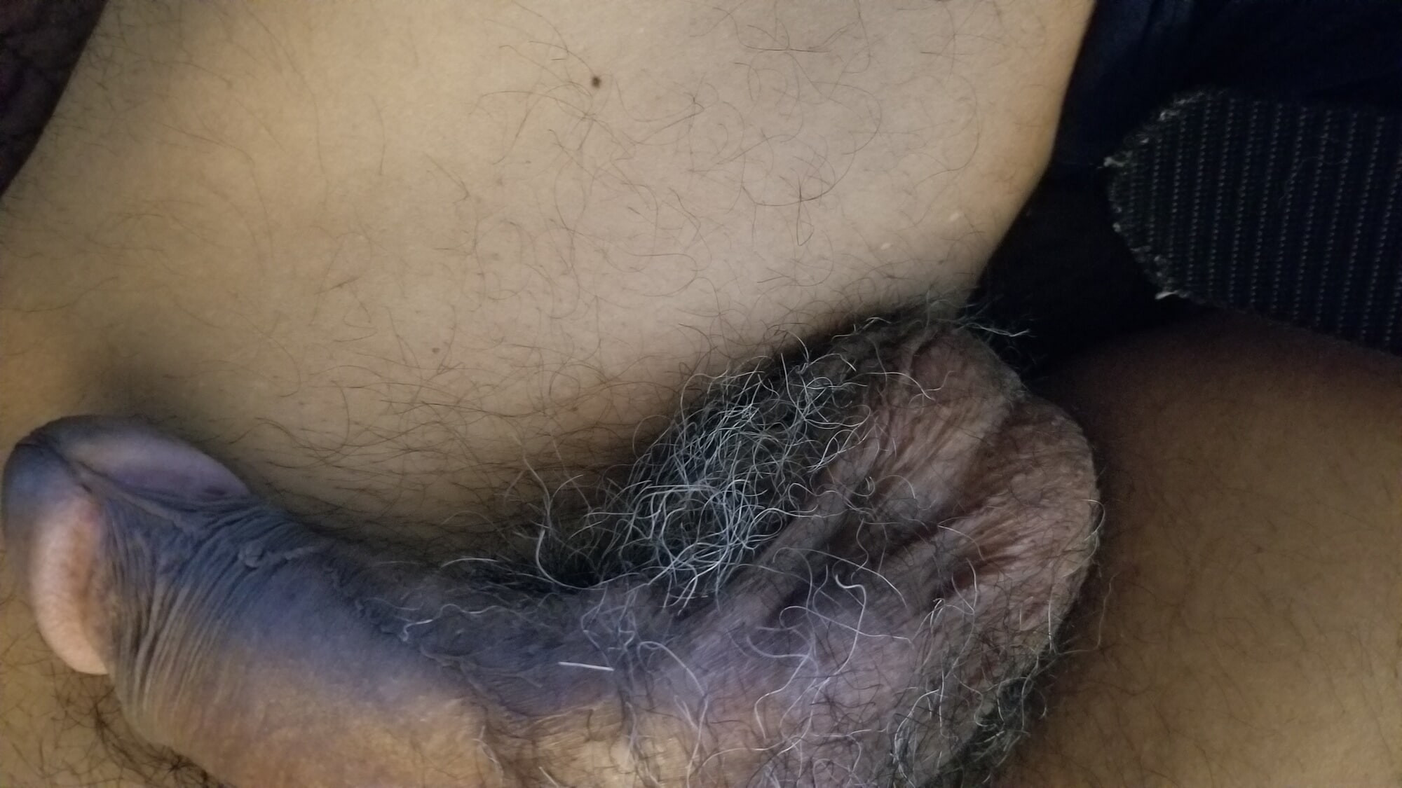 Hanging out dick,hairy uncut  #3