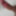 Cock