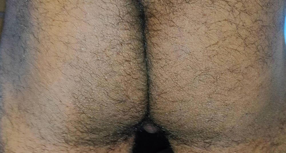 Hairy Cock and Ass #6