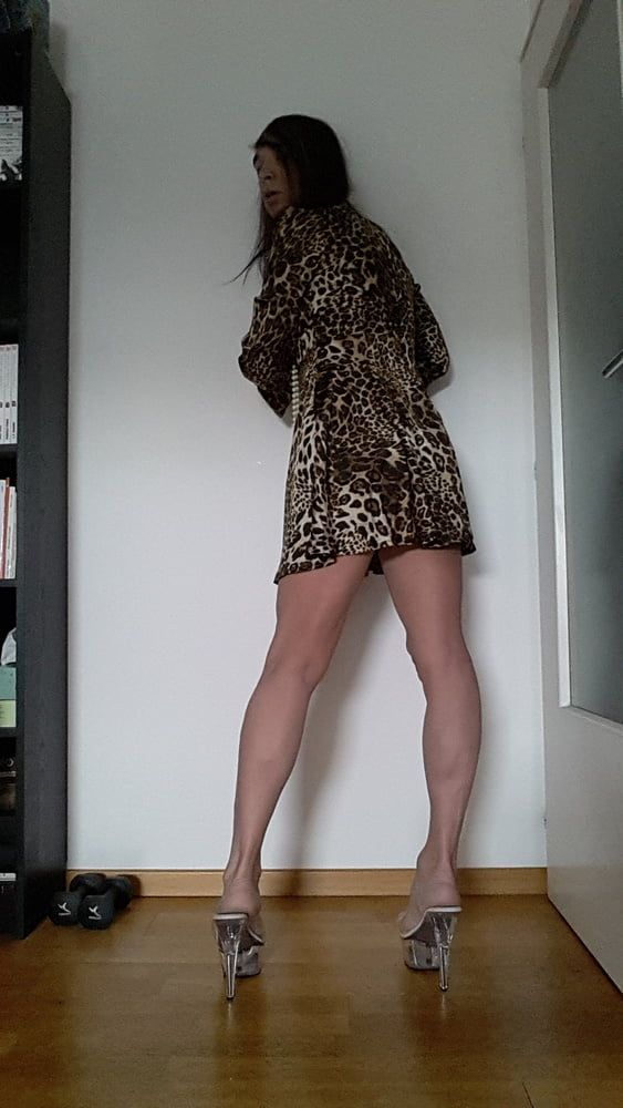 Tygra in her new leopard dress. #17