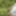 A photo of a naked walk in the summer forest