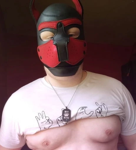 I'm also into pup play and gear