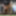 shemale lingerie sounding urethral dildo travesti 1b #6