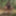 Summer 2019 - Part 3 #21