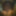 Closeups  #5