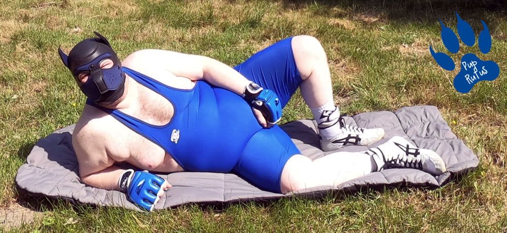 Pup relaxing in wrestling singlet #3