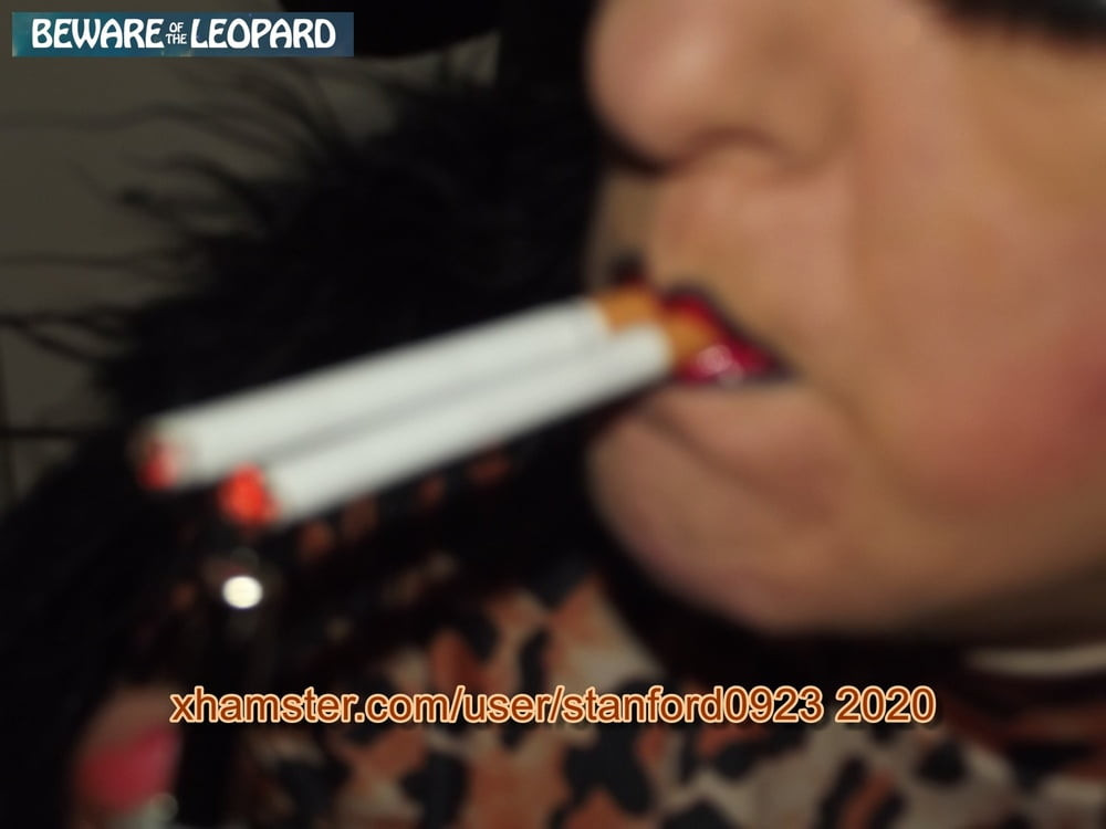 BEWARE OF THE LEOPARD #29