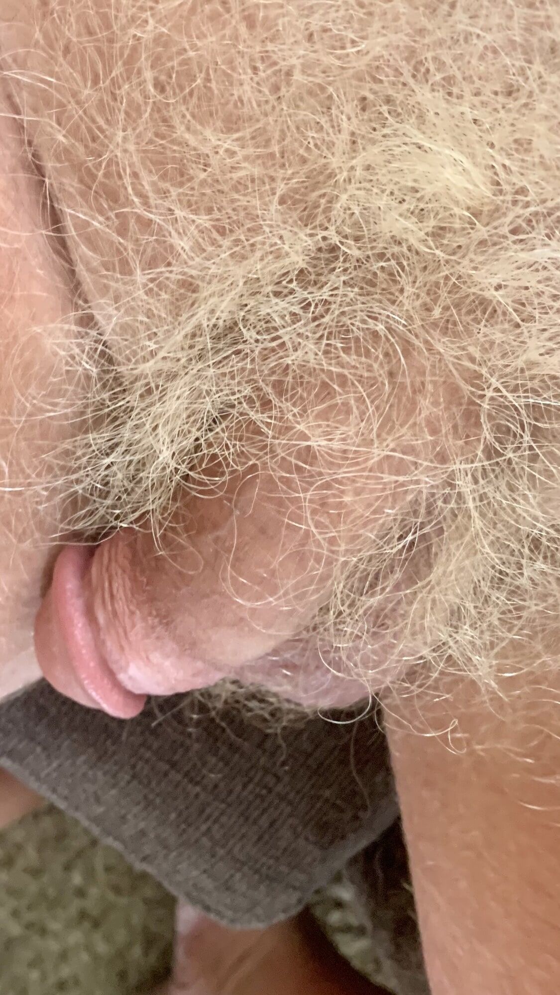 MY BLONDE HAIRED TAN COCK #11