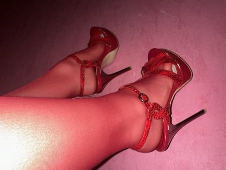 Legs, heels, stockings in red 