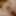 Reo Tsubaki :: Luxury Adult Healing Spa - CARIBBEANCOM