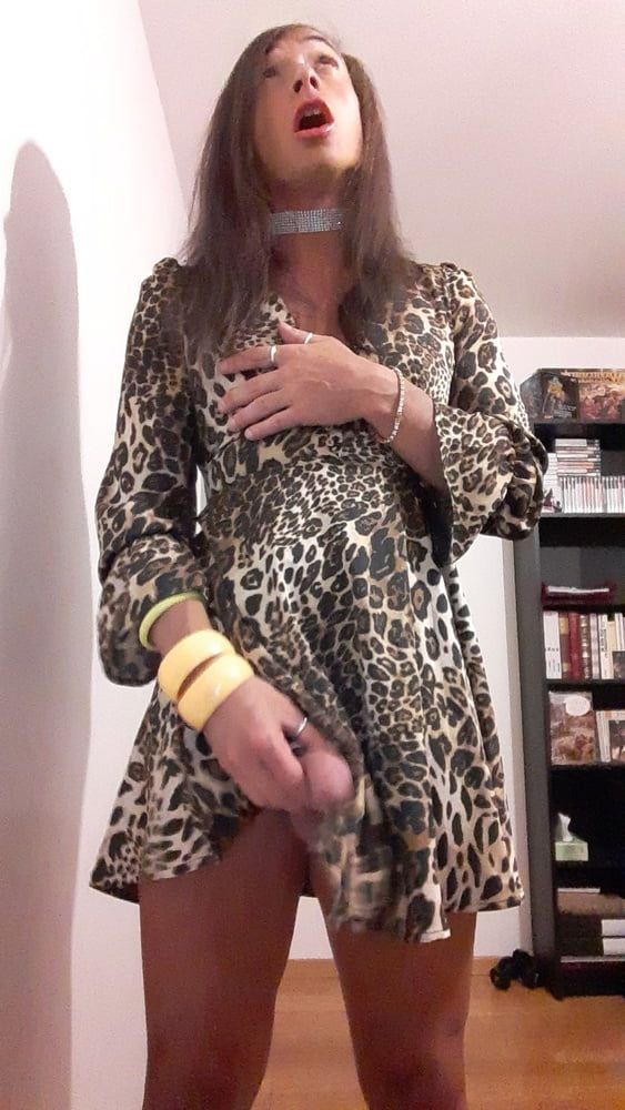 Sissy Tygra in leopard dress on 2019 octobre. #4