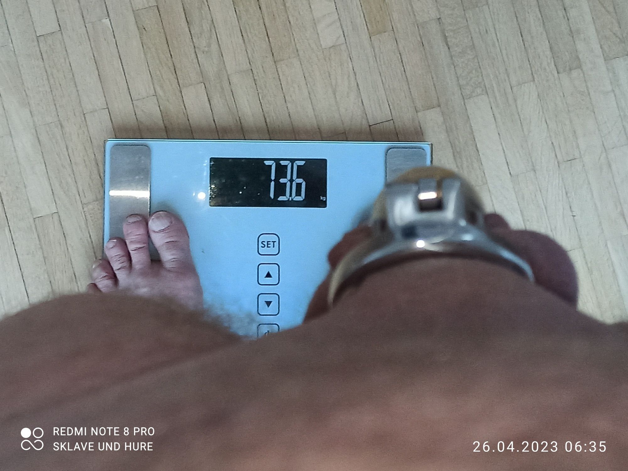 weighing cagecheck 26.04.2023 #12