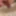 New cock Pics 