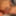 Uncut cumin 