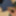 Haired Dick &amp; Balls Cockhead Foreskin  Masturbation  #58