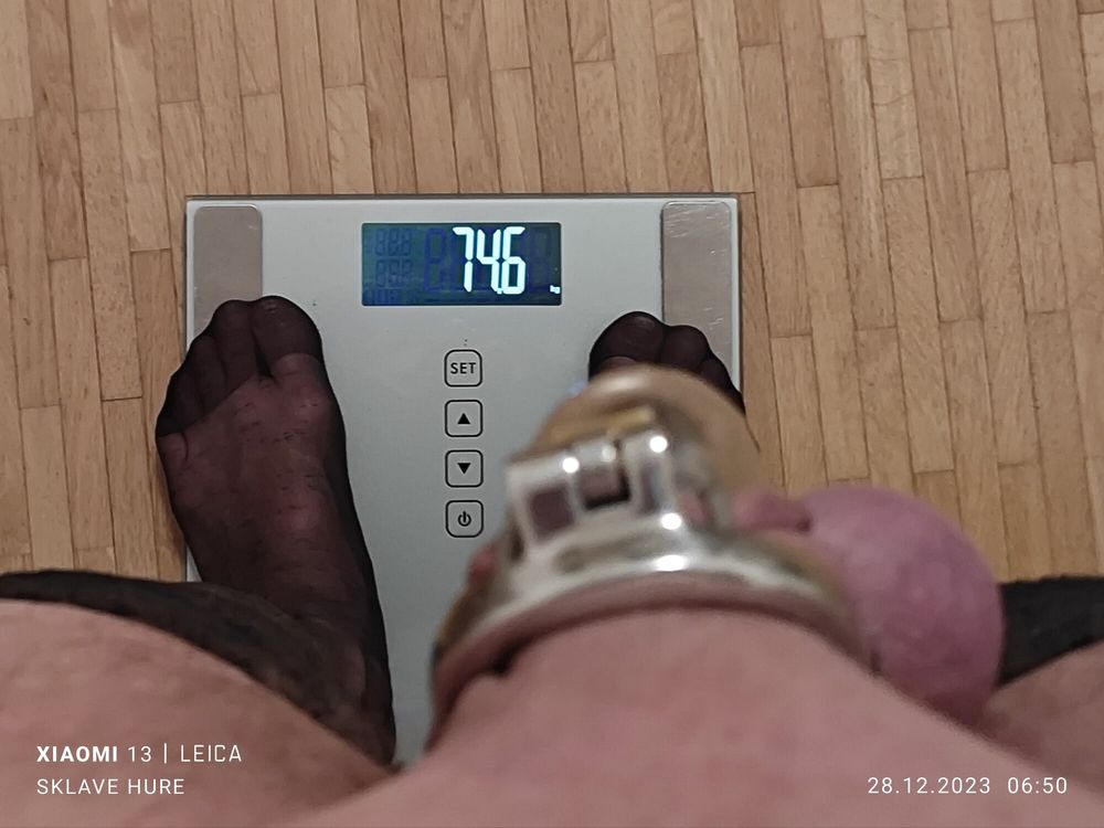 Mandatory weighing cagecheck big plugcheck December 28, 2023 #19