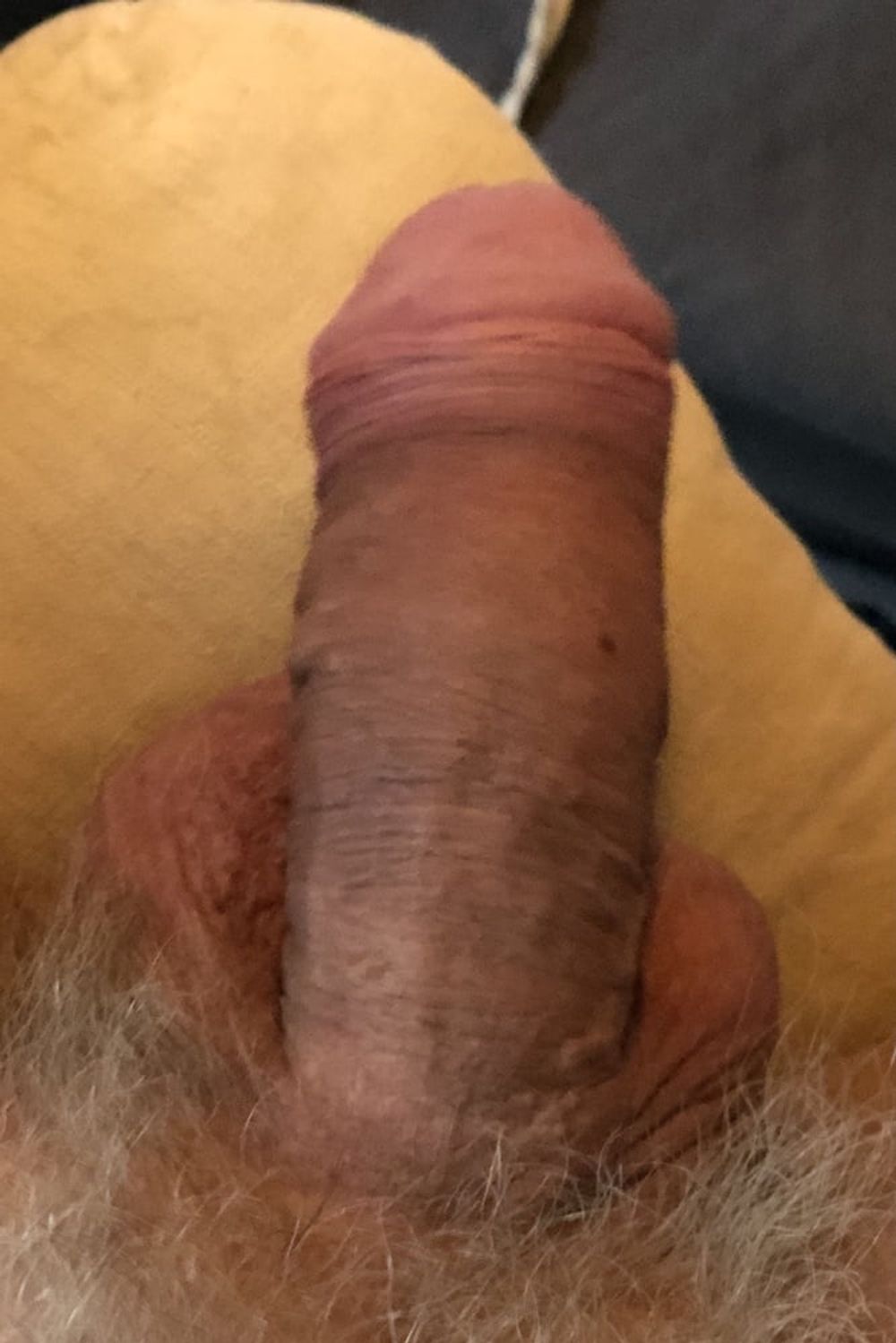 Beautiful thick dick. Hard-ons set 1 #26