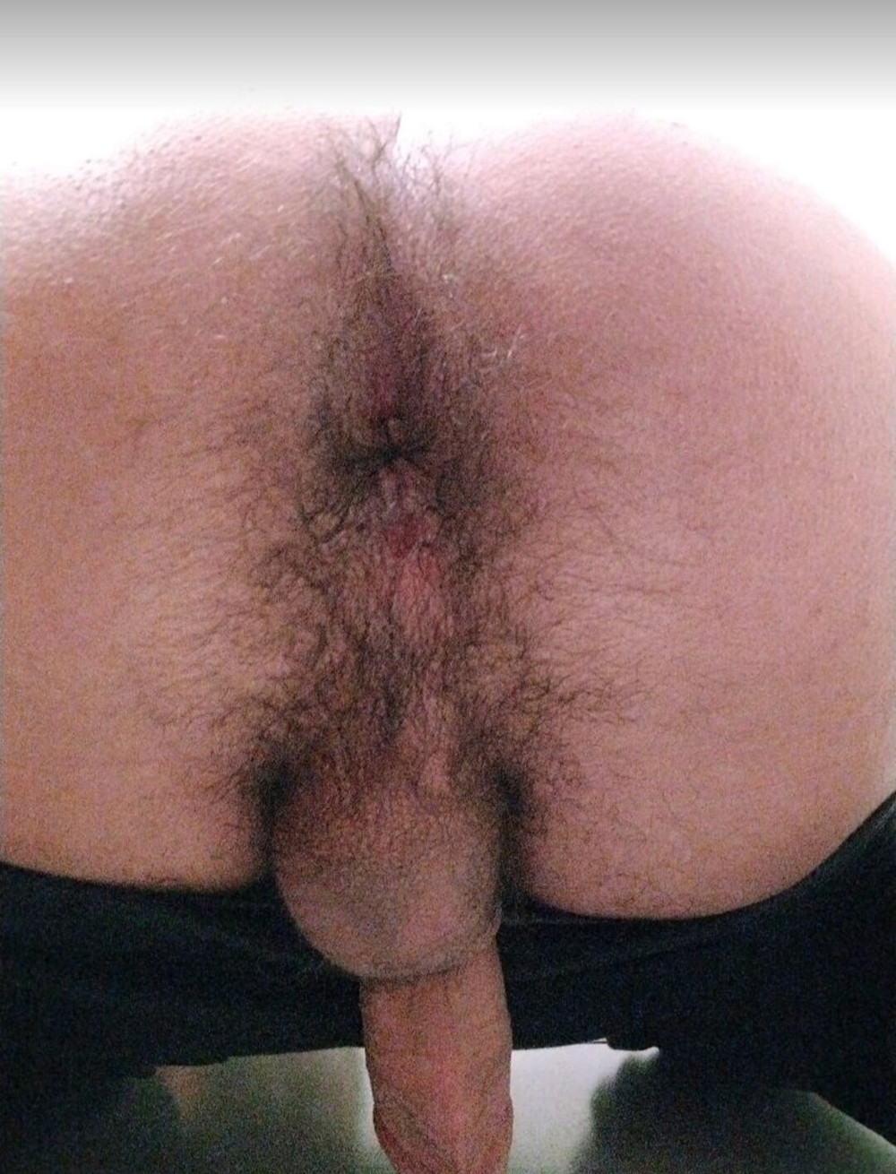 More pics of my asshole :3 #3